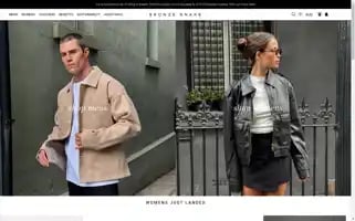 Bronzesnake.com Screenshot 2024-05-05 03:48:44