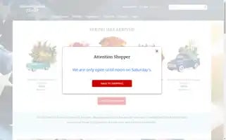 Bloomingdaleflowers.com Screenshot 2024-05-15 14:46:25