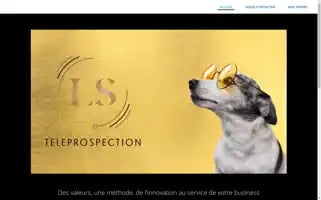 Ls-teleprospection.fr Screenshot 2024-06-17 02:07:08