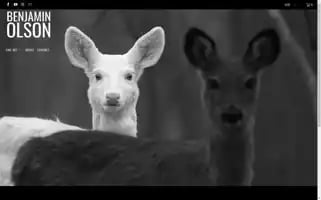 Benjamin-olson.com Screenshot 2024-05-05 05:17:27