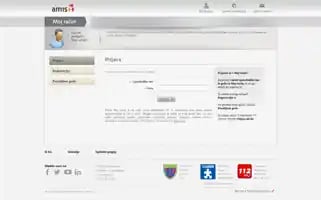 Amis.net Screenshot 2024-06-13 17:05:58