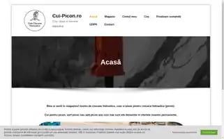 Cui-picon.ro Screenshot 2024-05-21 07:25:55