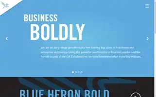 Blueheroncap.com Screenshot 2024-07-05 15:36:46