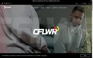 Cflwr.com Screenshot 2024-04-27 15:28:42