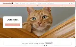 Chats-malins.com Screenshot 2024-05-03 21:23:21