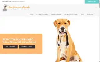 Peachonaleash.com Screenshot 2024-05-13 08:31:01