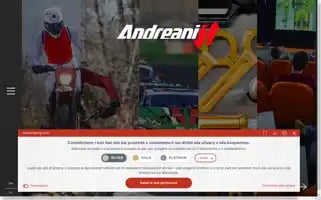 Andreanigroup.com Screenshot 2024-06-30 17:33:20