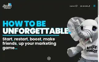 Bluestrawberryelephant.com Screenshot 2024-07-03 17:09:39