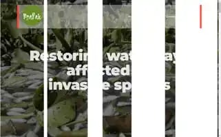 Hyapak.com Screenshot 2024-05-21 04:21:03