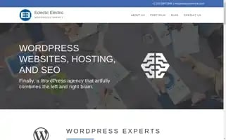 Eclecticelectric.com Screenshot 2024-06-27 16:50:15