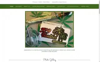 329islandtours.com Screenshot 2024-04-25 15:23:00