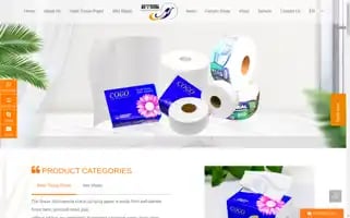 Paperwetwipes.com Screenshot 2024-06-18 21:22:38