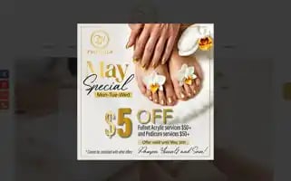 Pronailsocala.com Screenshot 2024-05-16 14:10:56