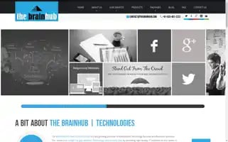 Thebrainhub.com Screenshot 2024-06-18 03:17:59