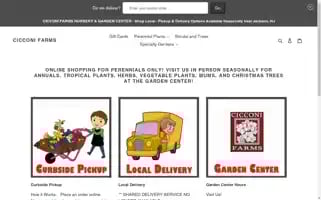 Cicconi-farms.myshopify.com Screenshot 2024-06-13 03:02:45
