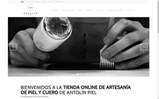 Antolinpiel.com Screenshot 2024-06-27 08:06:33