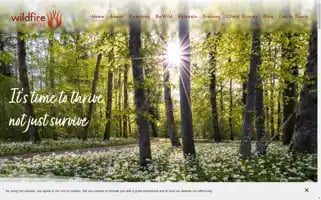 Wildfirewalks.com Screenshot 2024-07-07 08:47:18