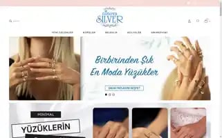 Ninovasilver.com Screenshot 2024-06-16 18:14:09