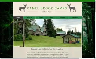 Camelbrookcamps.com Screenshot 2024-07-09 02:24:57