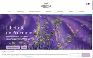 Libellule.fi Screenshot 2024-05-25 12:18:40
