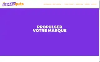 Lesremarques.com Screenshot 2024-06-16 20:42:57