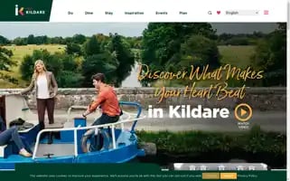 Intokildare.ie Screenshot 2024-07-04 17:52:28