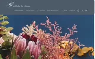 Lepavillondesanemones.com Screenshot 2024-05-21 13:32:42