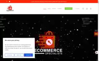 Ecommerceni.co.uk Screenshot 2024-07-04 05:47:43