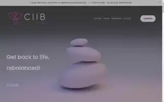 Ciibpt.com Screenshot 2024-07-07 03:10:53