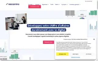 Neocamino.com Screenshot 2024-06-17 19:02:32