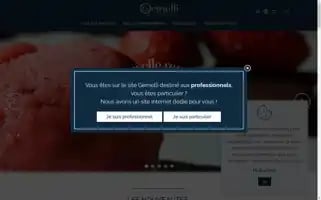 Gemelli-pro.fr Screenshot 2024-05-23 20:59:47