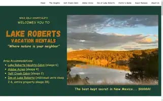 Lakerobertsvacationrentals.com Screenshot 2024-04-24 03:13:14