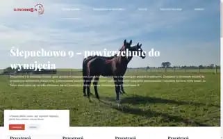 Slepuchowo9.pl Screenshot 2024-06-14 20:27:01