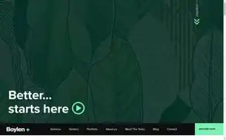 Boylen.com.au Screenshot 2024-06-16 14:41:24