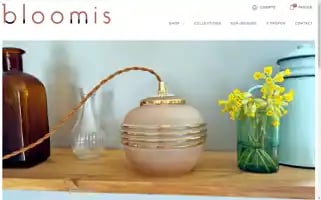 Bloomis.fr Screenshot 2024-05-21 19:42:11