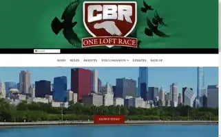 Cbroneloftrace.com Screenshot 2024-07-08 13:19:30