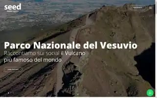 Seedmediaagency.com Screenshot 2024-07-01 10:26:04