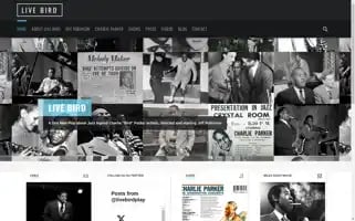 Livebird.com Screenshot 2024-07-04 23:08:48