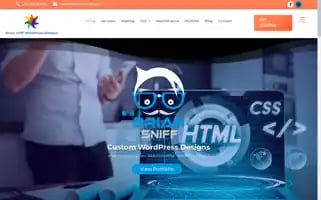 Briansniff.com Screenshot 2024-06-16 01:15:10