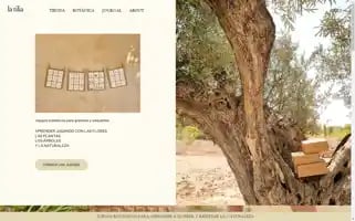 Latilia.es Screenshot 2024-05-28 01:08:26