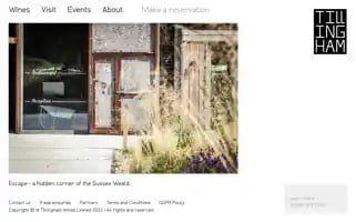 Tillingham.com Screenshot 2024-06-29 22:52:38