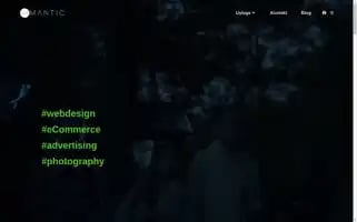 Mantic.ba Screenshot 2024-06-15 11:55:08