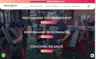 Theultimatecoaching.com Screenshot 2024-05-17 06:14:50