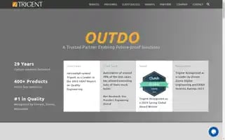 Trigent.com Screenshot 2024-06-29 14:51:59