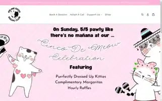 Felinegoodsocialclub.com Screenshot 2024-05-04 18:08:58