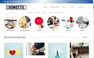 Daysofadomesticdad.com Screenshot 2024-06-29 12:54:10