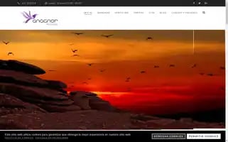 Anagnor.com Screenshot 2024-06-30 20:56:57