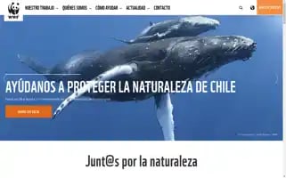Wwf.cl Screenshot 2024-07-09 12:30:10