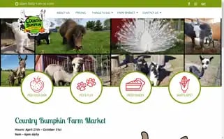 Countrybumpkinfarm.com Screenshot 2024-05-09 06:35:05