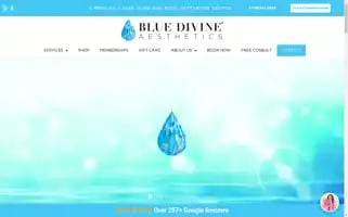 Bluedivine.com Screenshot 2024-06-11 14:36:41